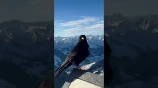 Magical Mountain Peak of S&auml;ntis Switzerland