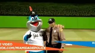 MDPD's 