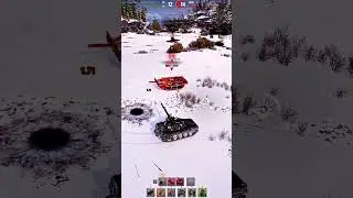 Borkenk&auml;fer vs Strv 107-12
