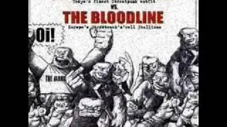 THE BLOODLINE - WARRIORS