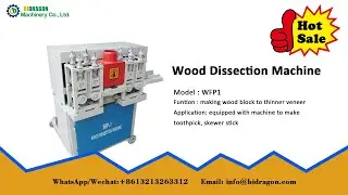 Wood Dissection Machine to Make Toothpick BBQ Skewer Stick and Chopsticks 008613213263312