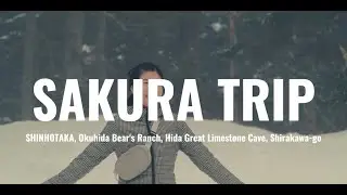 SAKURA TRIP [Day 7] : SHINHOTAKA, Okuhida Bear's Ranch, Hida Great Limestone Cave, Shirakawa-go