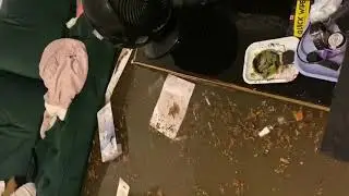 Horrible New York basement flood