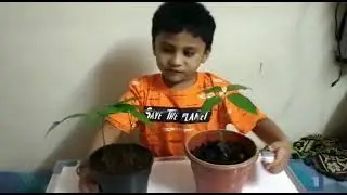 Rutaansh Ghokshe - Young Generation on Global Warming n importance of  Sapling Plantation👍👍👍👍