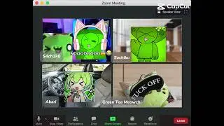 Don&rsquo;t Whoop Me! With @Sachikotheemojicatabuse , @TheCatPlushShow and @kenjithefrutigeraerofan