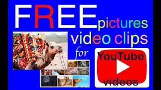 Creating Animal video using Pixabay and Pixels.com