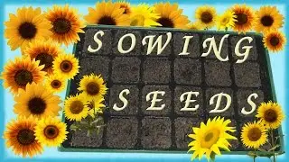 ASMR ~ Sowing Seeds ~ Soft Spoken