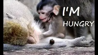 Pity Face baby Daniela very hungry Cry ask mom have milk| Mom not care&pity baby.