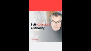 Self Organized Criticality