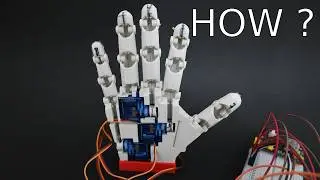 How I Built a Robotic Hand