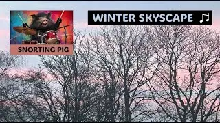 Winter Skyscape