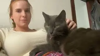 Spontaneous Lofi Cat ASMR + soft spoken