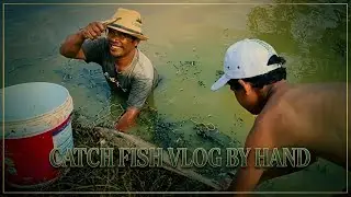 Daily Fishing Vlog Post #survival #fishing #nature #jungle