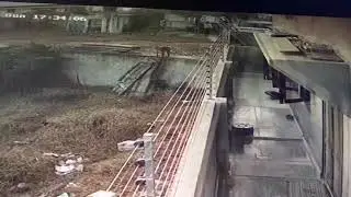 Monkey protection solutions