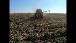 (2022) Őszi munkák Mtz 892.2, Forschritt e 514 és 2xMtz80
