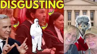 BREAKING! Supreme Court of Canada REFUSES to Hear Ostrich Farm Case | Stand on Guard