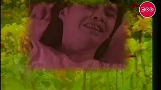 Bunga Bunga Kehidupan - Opening Song