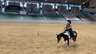 Doppelshow EWU 2024 / LK 3 Western Horsemanship / Ostbayernhalle Kreuth