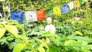 Der M&ouml;nch Und Die Windt&auml;nzer