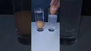 Floating egg experiment #floating #shorts #experiment