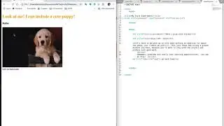 External Stylesheet Implemented