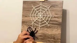 Spider Web Halloween String Pin Art DIY