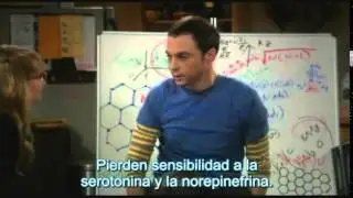 Trastorno de Asperger   Dr Sheldon Cooper