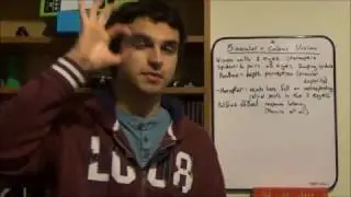 Binocular & Colour Vision - Benito's Explanations