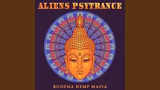 Shiva Tribe (Original Mix)