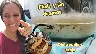 MASA MADRE desde cero en casa🥖 GU&Iacute;A PR&Aacute;CTICA paso a paso 🍞🙌