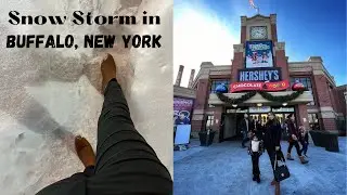 Snow Storm in Buffalo, New York | Christmas Travel Vlog | Exploring Washington D.C | USA | Ep. 2