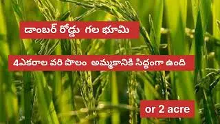 4 acres BT Road bit agriculture land for sale / very low price  #agriculturallandforsale