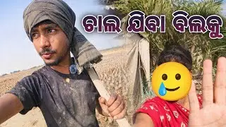 ଚାଲ ଯିବା ବିଲୋକୁ ⭕‼️⭕  ।।।  Day 7 vlogs #dailyvlog  jay jagannath ⭕‼️⭕