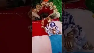 laddu gopal shorts #trending #status #ytshorts #whatsappstatus #viral #laddugopal #kanhu # sewa