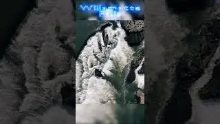#WillametteFalls #dronelife #pnw