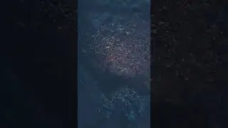 Hooka chilam by microscope