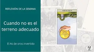TAROT | As de Oros invertido: ¿Es el terreno adecuado?