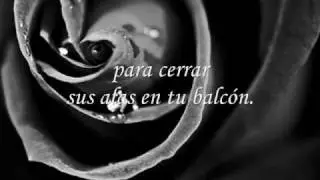 JAF   TODO MI AMOR