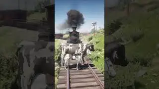 Animal Vs Train