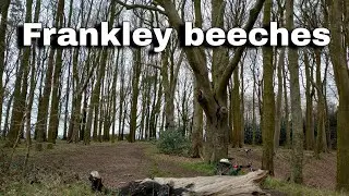 A explore of frankley beeches & Bartley reservoir
