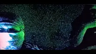 SCRAG x MUSCIMOL &mdash; Ничего не вырезано, ничего не перекодировано