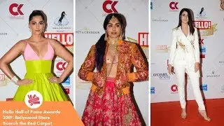 Hello Hall of Fame Awards 2019: Bollywood Stars Scorch the Red Carpet | BoxOffice Wrap