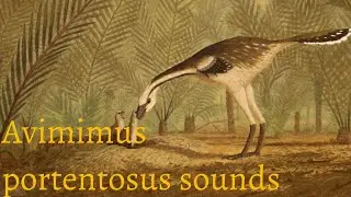 Dinosaur sound effects - Avimimus portentosus