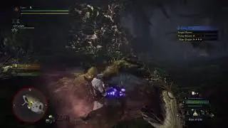 MHW Safi Aquashot Test