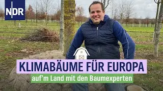 Klimabäume für Europa | Die Baumexperten | Folge 03