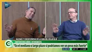 Razones y consecuencias de la suba del d&oacute;lar blue