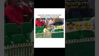 Coolest catch from audience #cricket #catch #attitudestatus #audience #cool