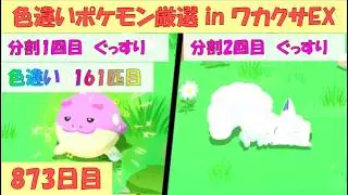 ポケスリ睡眠記録 2025/12/8(873日目)  色違いポケモン厳選 in ワカクサ本島EX(1日目)【ポケモンスリープ】