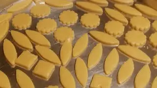 ٦ نوفمبر ٢٠٢٥