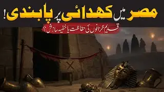 Why Egypt Stopped Archaeological Excavations | Daily Update With Asad